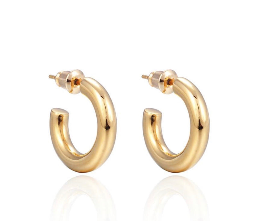 Mini Thick Hoops Earring - Alex Mika Jewelry