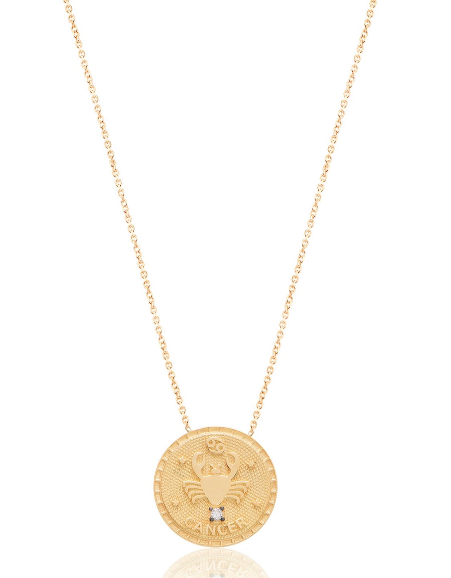 Zodiac Necklace Necklace - Alex Mika Jewelry